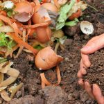 gestion dechets organiques