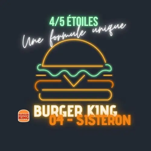 Illustration style néon représentant un burger, avec le texte "4/5 étoiles, une formule unique" et la mention Burger King 04 - Sisteron visuel de couverture de l'article de retour d'expérience IDS Environnement.